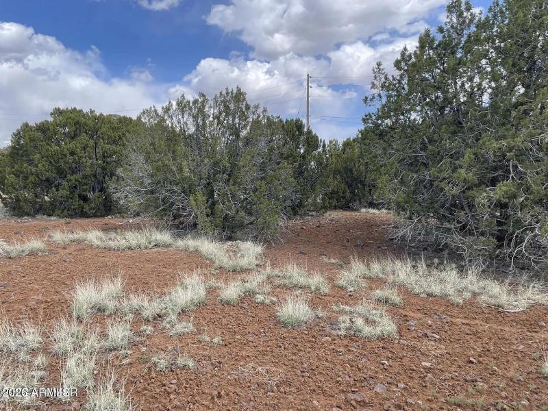 021de7ae485b86bcdff479b53e5214ab-cc_ft_1