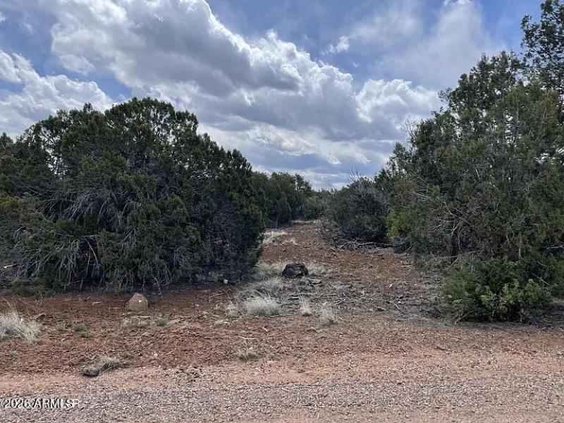 d864789bf400e424d7a25da8070affd9-cc_ft_7