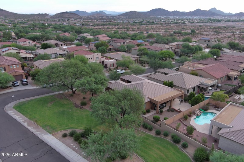 StaghornOverheadside