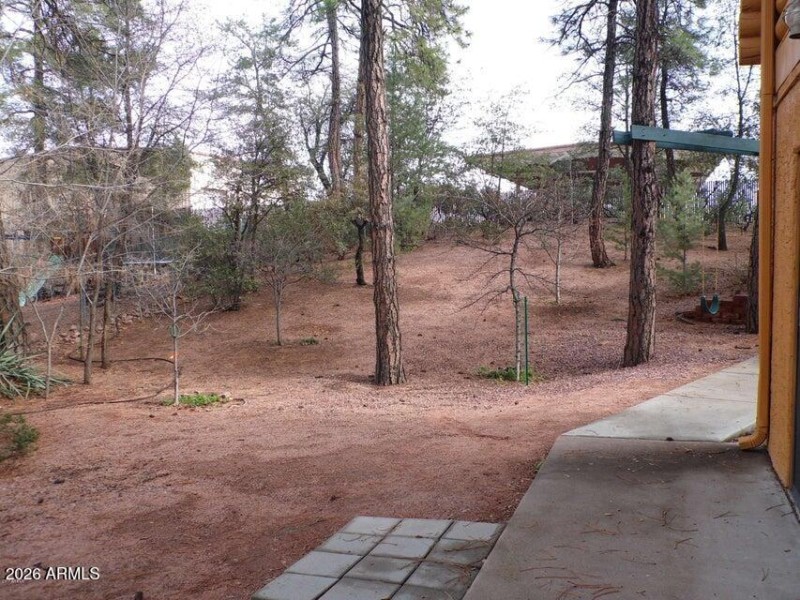 101 forest dr backyard