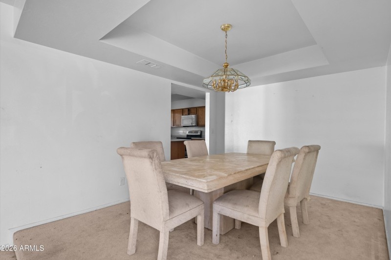 05-20260119-DSC04536