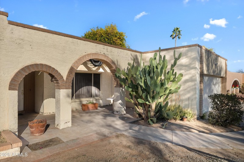 25-20260119-DSC04599