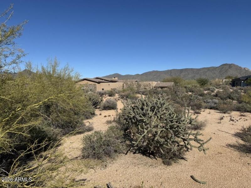 006_Elevated Homesite