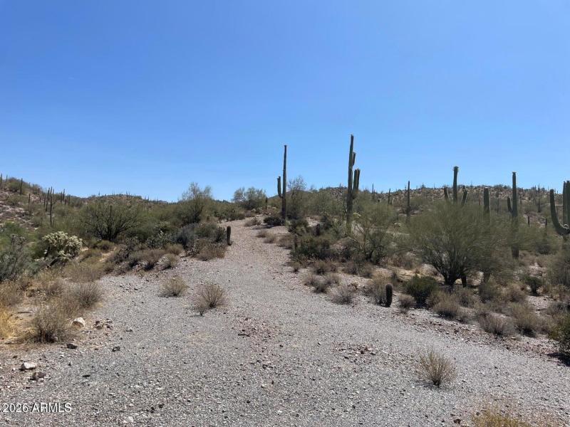 Parcel A another area above the excavate