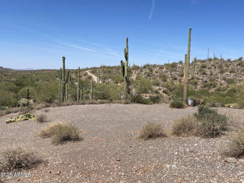 Parcel A area cleared for a building sit