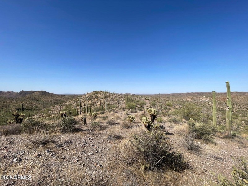 Parcel B cleared area