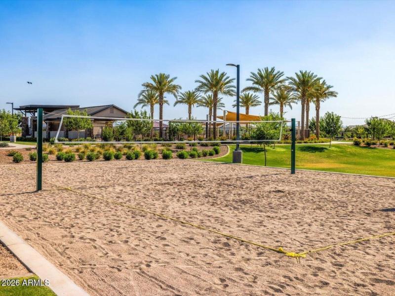 Volleyball Court