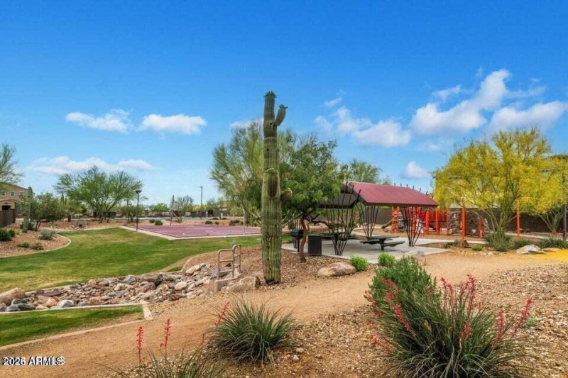 Neighborhood Amenities