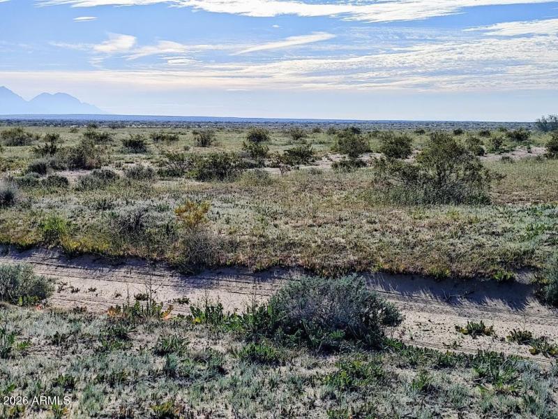 South parcel looking SE7