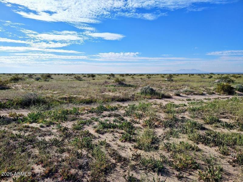 South side looking South West4