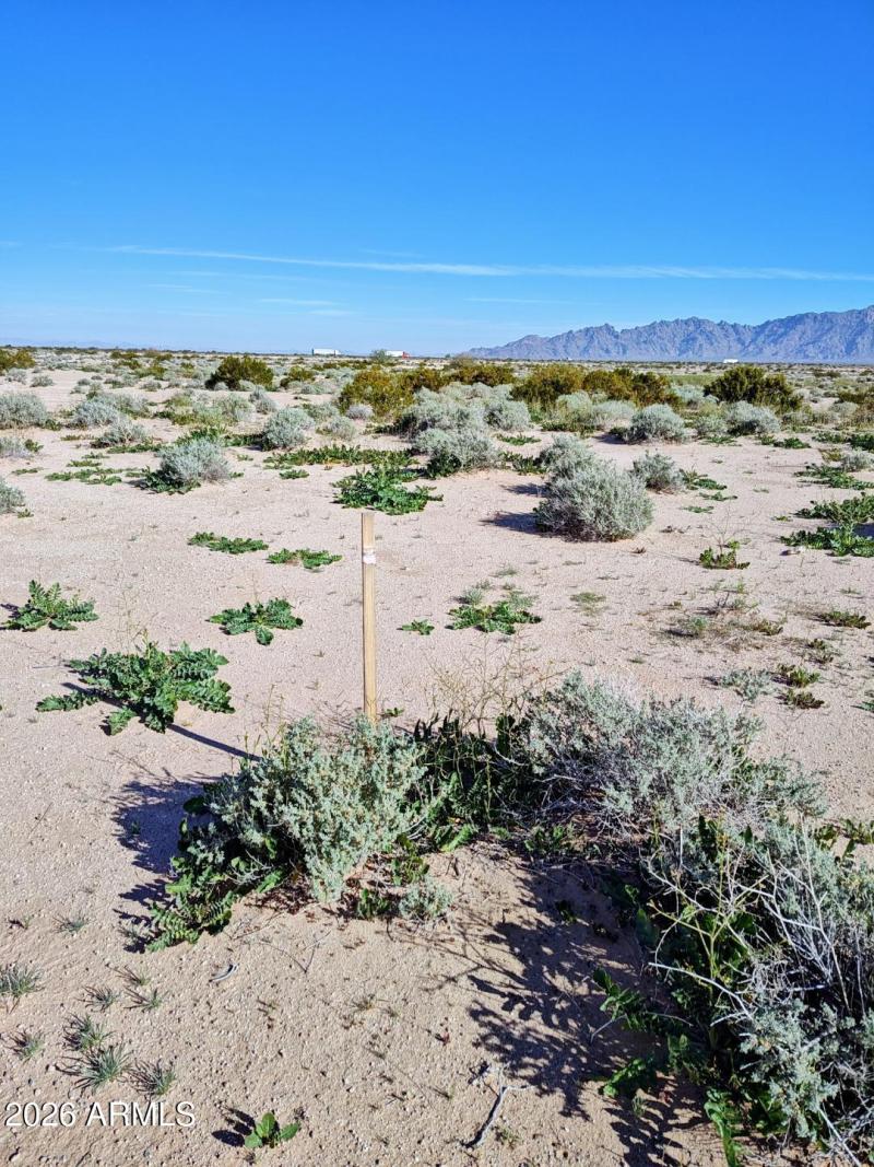 SW corner looking north11