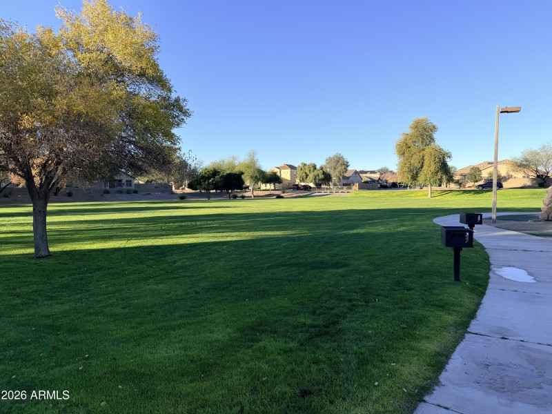 Area Park Expansive Grass Area