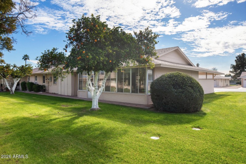 Back Area Green Belt