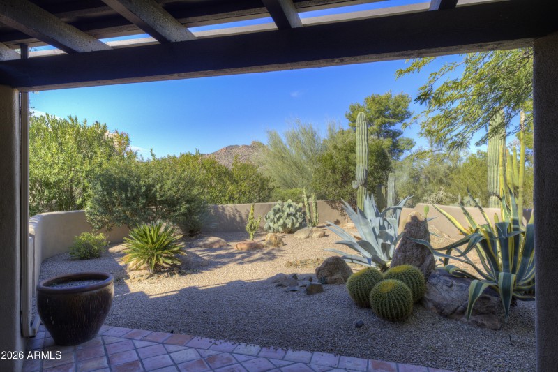 Back View Black Mountain