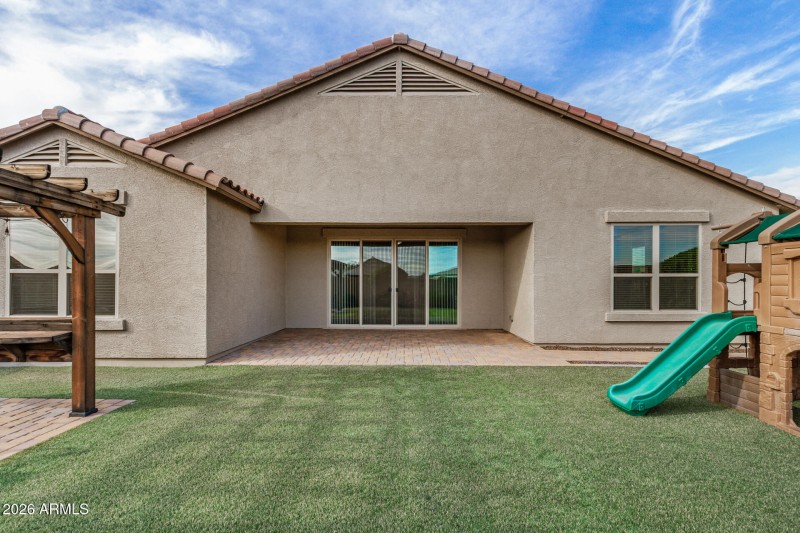 Low Maintenance Turf Grass