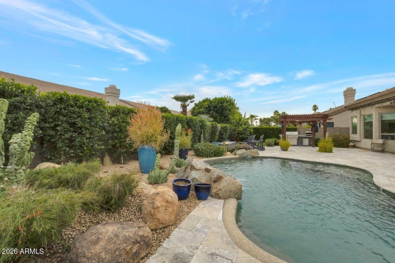 Indigenous mature landscape.