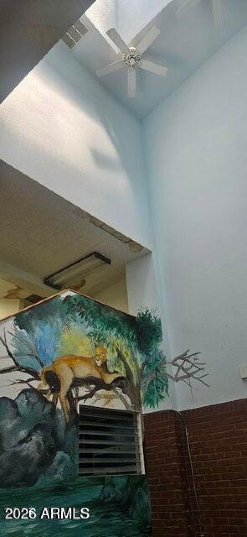 20250711170741261243000000-o