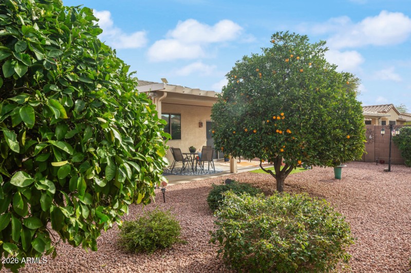 N Summerbreeze Way Surprise-035-056-1500