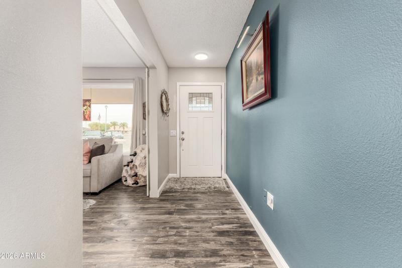 6974d8_08 - Wild Horse