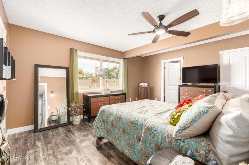 6974d8_22 - Wild Horse