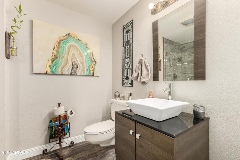 6974d8_28 - Wild Horse