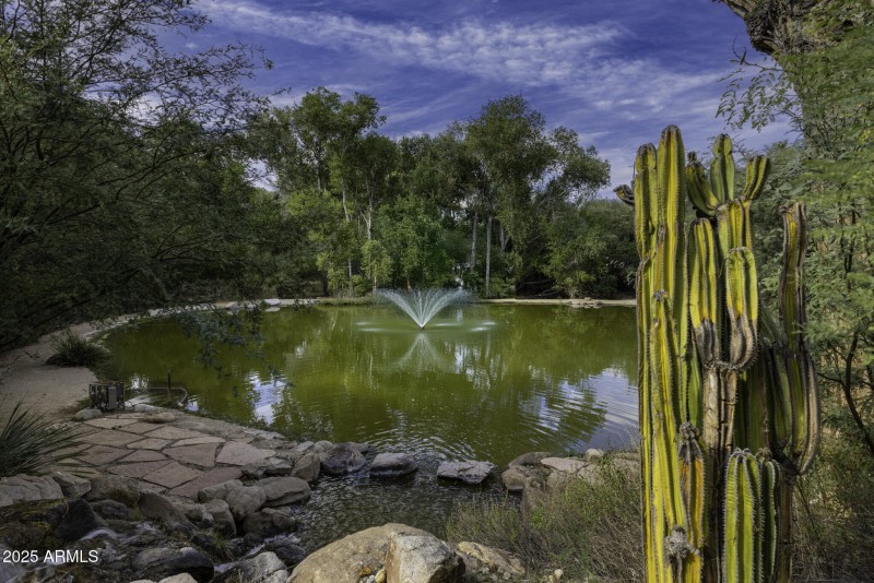 1/4 Acre Pond with Waterfalls
