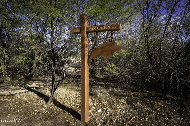 Lazy RC Ranch Peccary Lane