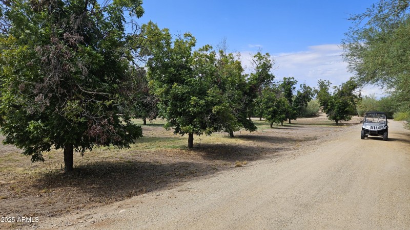 Pecan Orchard Lazy RC Ranch