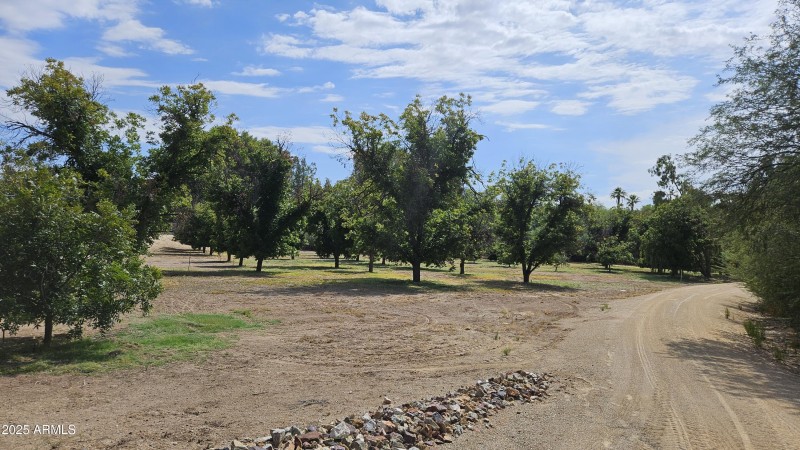 Pecan Orchard Lazy RC Ranch