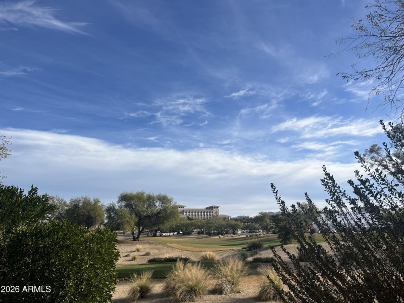 24 New Image IMG_8610