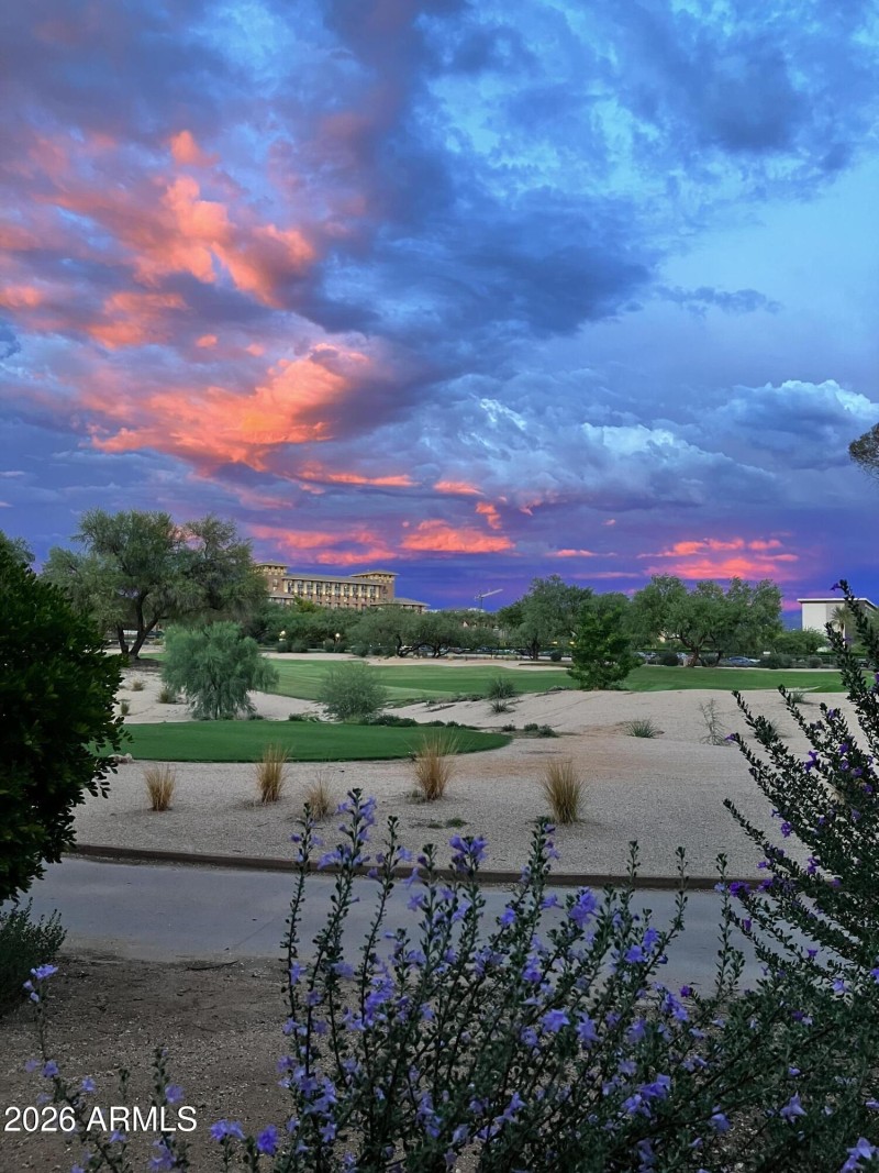 25 New Image IMG_8053