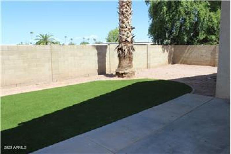 Back yard artificial grass