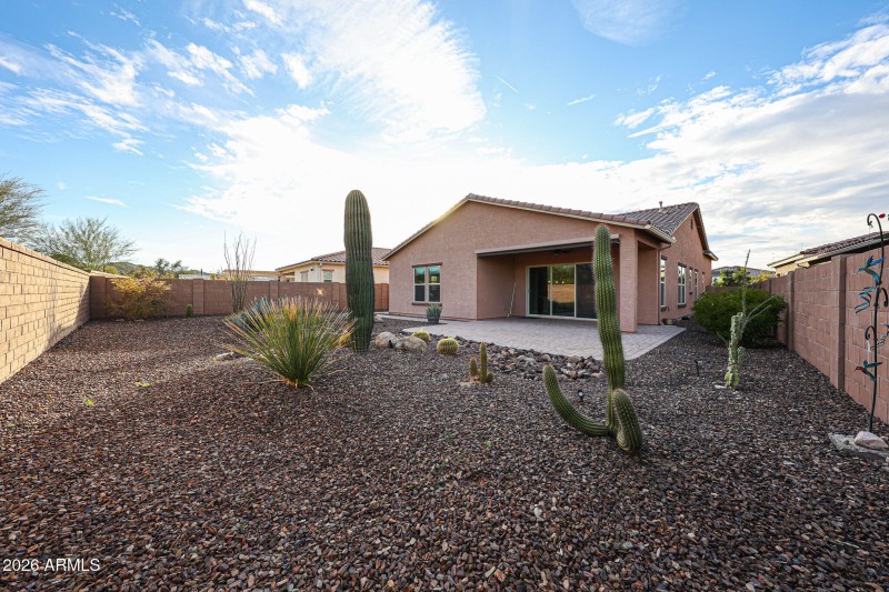 East Facing Backyard