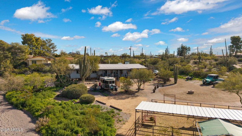 Animal friendly area