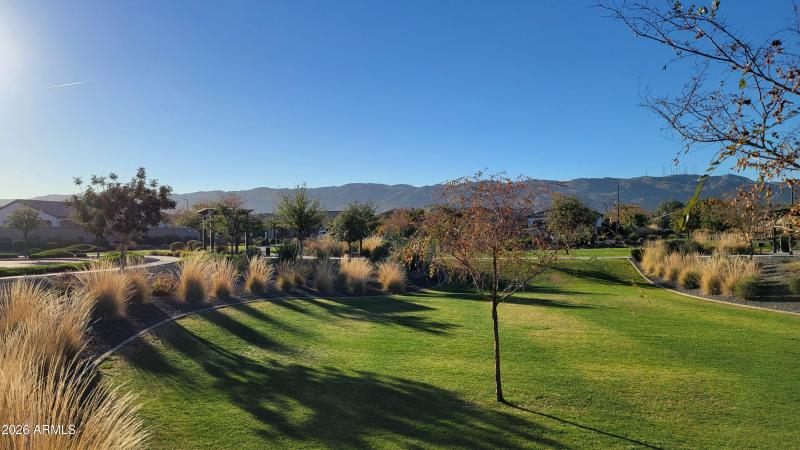 Walking - Jogging Paths