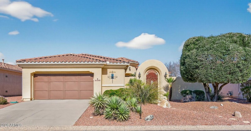 Mature Desert Landscape