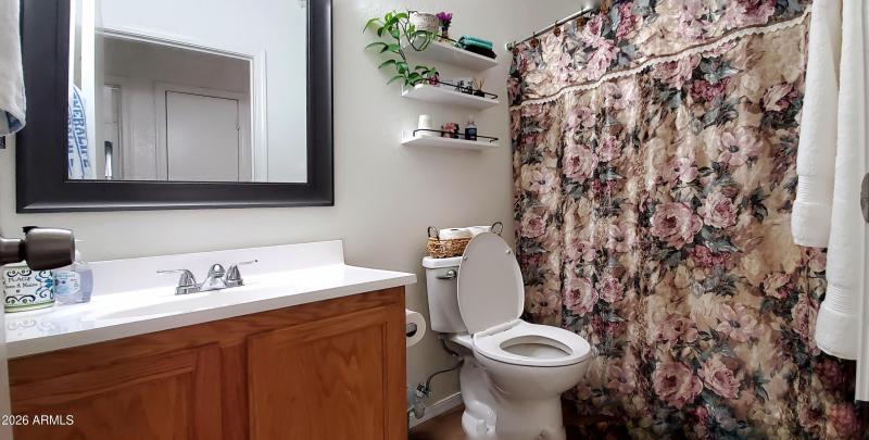 941 E Desert Moon Trl, STV - Guest Bath