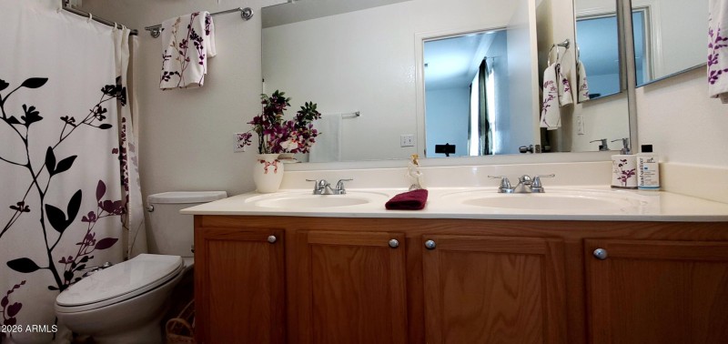 941 E Desert Moon Trl, STV - Master Bath