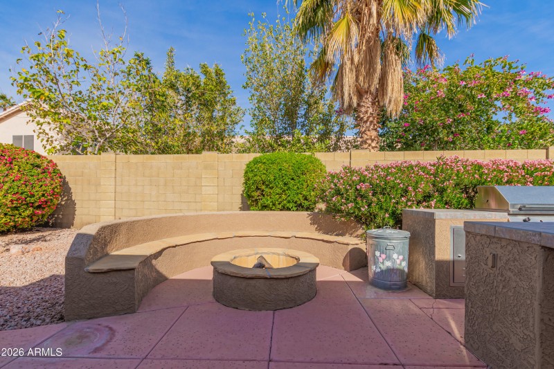 Wood Burning Firepit