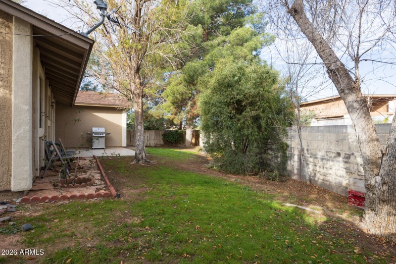 1262 E Crown - Back Yard West