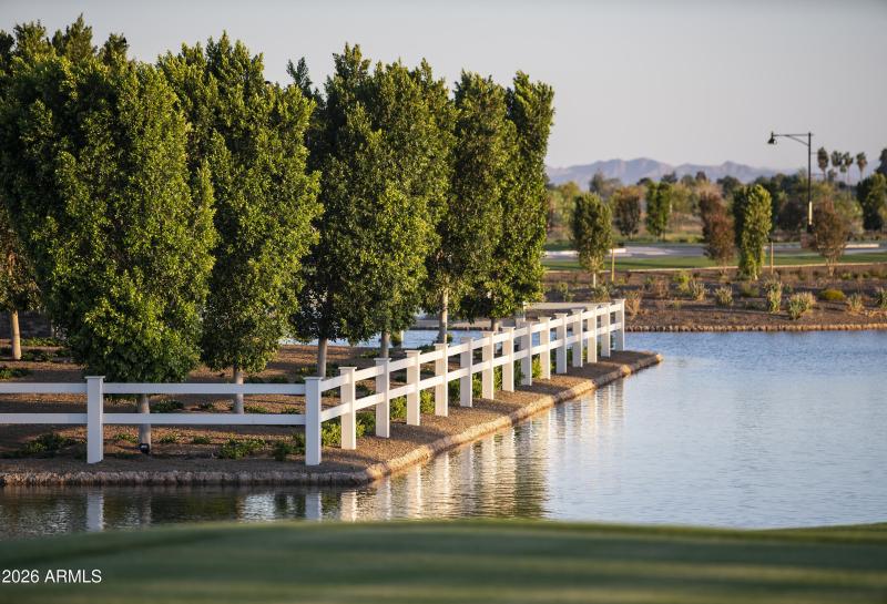 Sterling Grove Entry Landscaping