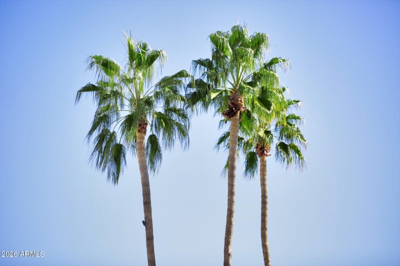 ddd21462-2bb7-4af2-b635-486db220c98f