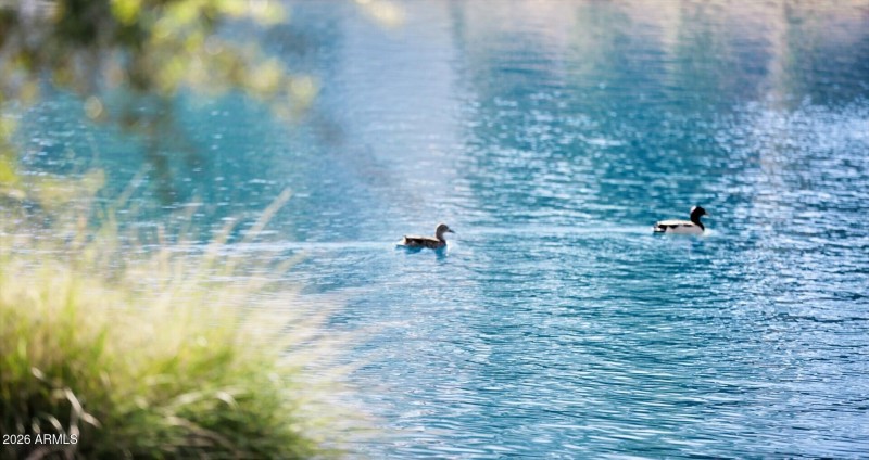 890799a6-bc56-4f3f-91c5-efa16809f883