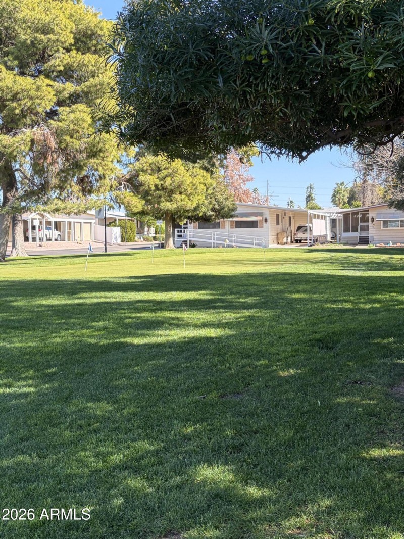 Community Putting Area