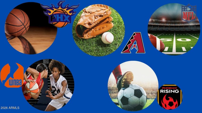 Lifetsyle - Professional Sports