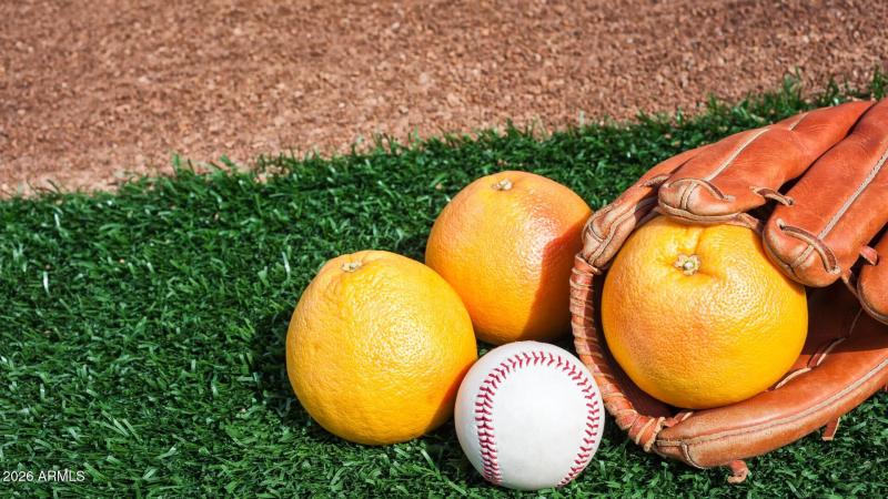 Lifestyle - Spring Training