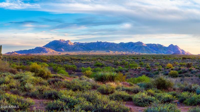 Life the Life ~ 300+ days of sunshine