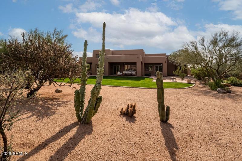 Spacious backyard with real grass