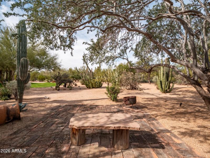 Mature desert landscaping