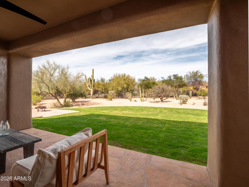 Large real grassy area